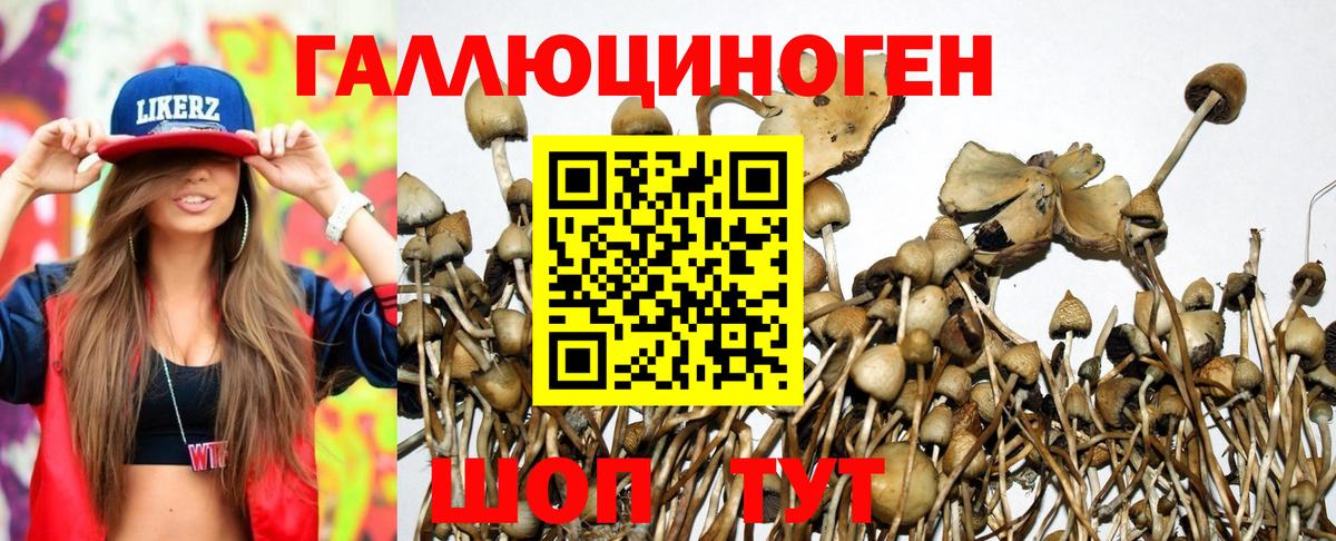 Галлюциногенные грибы мицелий Чистополь