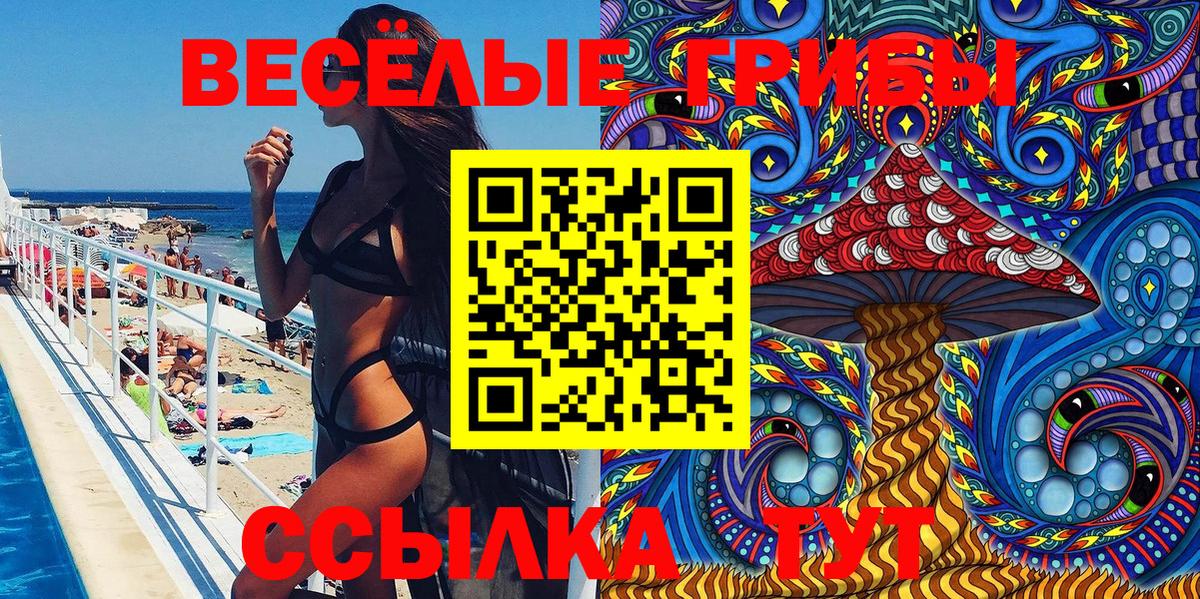 цены   Вход с VPN  Чистополь  Галлюциногенные грибы Psilocybe 